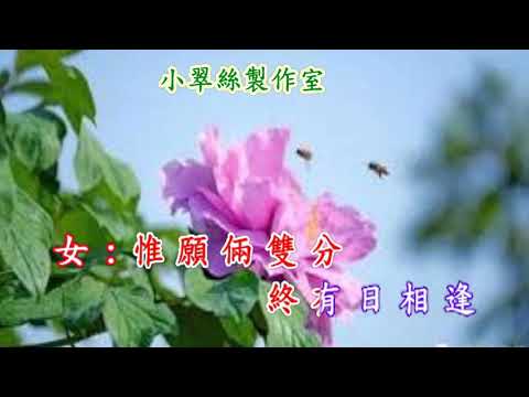 流淚眼看流淚眼 - 卡拉OK 純音樂〈改編合唱版〉