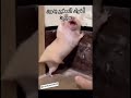تلاقيه واقف بزاوية البيت مثل الطلطميس  اكسبلور      