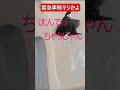 緊急事態 まさかの落下物 #外壁塗装 #夜行性動物 #shorts