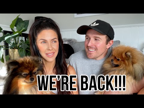 WEEKLY VLOG! WE'RE BACK! MARRIED LIFE, HONEYMOON & LOTS OF UPDATES!!