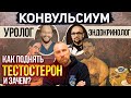 ТЕСТОСТЕРОН || Кому нужна эта ГЗТ? || Научно-развлекательный подкаст «Конвульсиум»