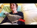 Dying Woman Says Goodbye to Her Parrot. The Bird's Answer Will Make You Cry!