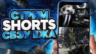 #shorts Стрим СБЭУ Ёжика