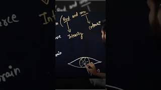 ♥️Image ulti kyu banti hai?💜 #akshyatyaagisir #studay  #physicswalaah #physics #vedio