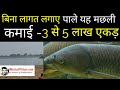 kam lagat me machli palan kaise kare | grass carp fish farming hindi prabhat kumar fisheries expert