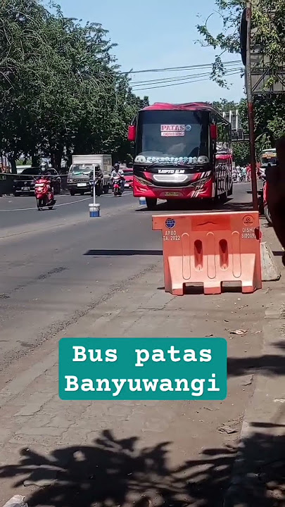 bus patas banyuwangi #bus #busmania #bustjipto