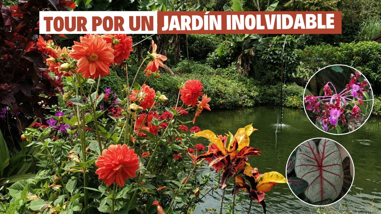 Tour por un hermoso y cautivador jardín | Jardín Diaz