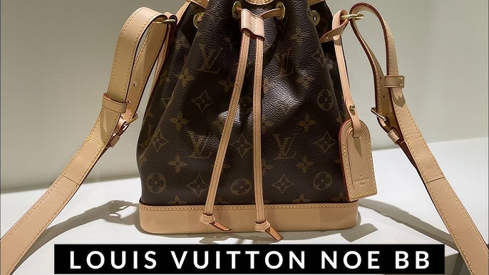 Louis Vuitton Noe Handbag Review! - Fashion For Lunch.