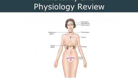 2014 01 22 23 20 AEMT Ch 23