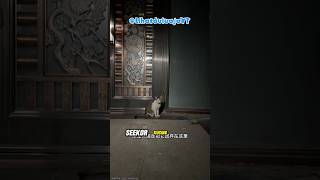 Kucing Setia Penunggu Rumah ❤️