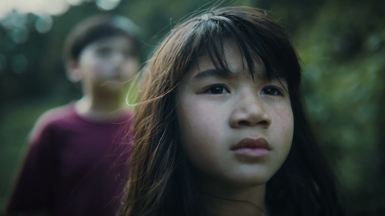 La estafa del greenwashing de las aerolíneas tiene consecuencias peligrosas