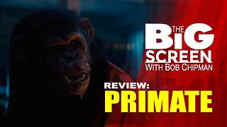 Download Lagu Review - PRIMATE (2026) MP3