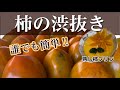 誰でも簡単にできる柿の渋抜き方法、熟し柿で作る混ぜるだけ超簡単、甘くておいしい柿プリンの作り方