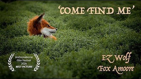 Come Find Me  -  Music video by EZwolf