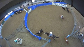 Big Sky Ranch Sorting Saddle Series #4 - #9 HC SORT - Round #1 - Ride #26