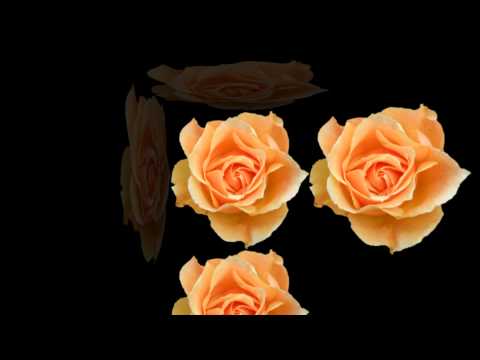 futazhi dlja videomontazha morphing