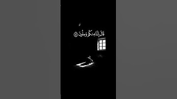 هزاع البلوشي  سورة الحجر 🥀  نبئ عبادي أني أنا الغفور الرحيم🥀