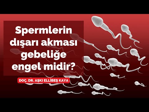 Spermlerin dışarı akması gebeliğe engel midir? Gebe kalmak istiyorum! - Doç. Dr. Aşkı Ellibeş Kaya