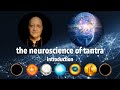 How can tantric yoga alter my neuroscience consciousness and wellbeing