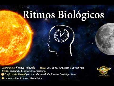 Vídeo: El Principio De Funcionamiento De Los Ritmos Biológicos Endógenos Humanos Y Mdash; Vista Alternativa