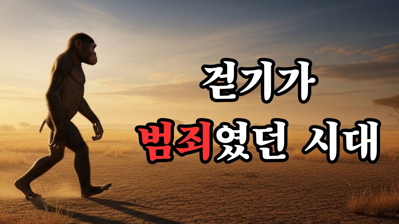 아무도 몰랐던 걷기의 계급 역사 | 권력이 걷기를 통제한 400만 년의 역사 | 역사 속 걷기에 숨겨진 권력의 언어 | 당연한 이유
