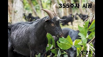 [엘소드 / ELSWORD KR] 비고트 헤니르의 시공 355주차 1:21 / Opferung(Bigott) Henir Challenge 355th