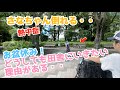 さなちゃん熱中症になる 2日間で回復しました さなちゃん熱中症になる 2日間で回復しました