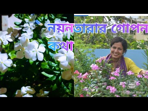 Nayantara flower care and more way to get more flowers and many other information about it