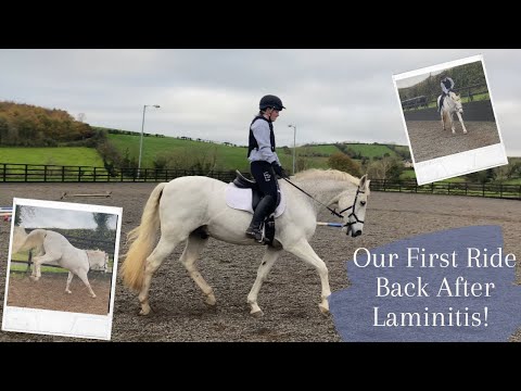 OUR FIRST RIDE BACK AFTER LAMINITIS!