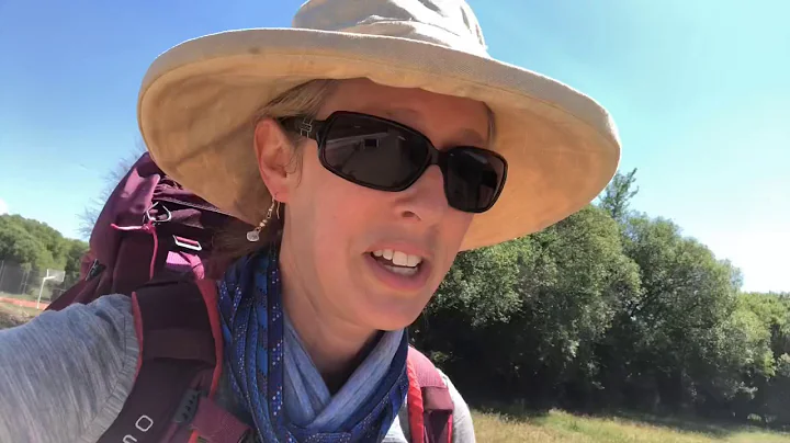 Day 22: Camino Frances, Villar de Mazarife to Asto...