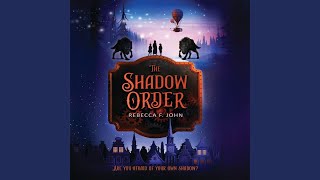 Chapter 28.14 - The Shadow Order
