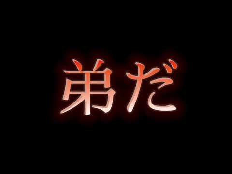 ONEPIECE 頂上戦争  「俺は弟だ」