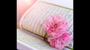 قرآن كريم بصوت القارئ السديس  أجمل حالات واتس اب دينيه  تلاوة خاشعة   🖤