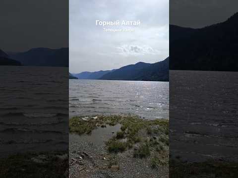 Горный Алтай#Телецкое озеро#shorts