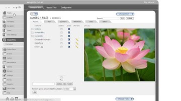 How to create multiple web-pages in GOcms