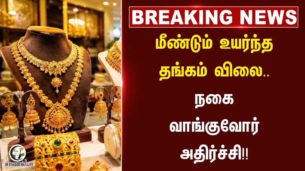 ⁣#breakingnews : மீண்டும் உயர்ந்த Gold rate.. நகை வாங்குவோர்    அதிர்ச்சி!!
