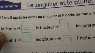Comment Distinguer Le Singulier Et Le Pluriel Le Nombre Des Noms?