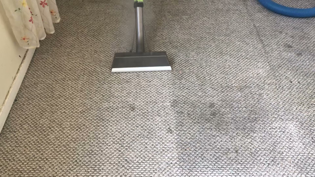 Oddly satisfying Carpet cleaning by quality carpet and tile cleaning