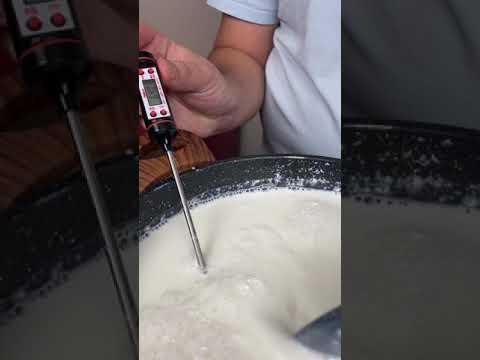 Видео: Какой сычужный фермент используется в сыре моцарелла?