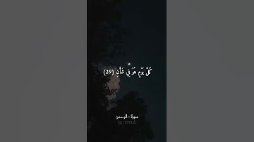 Quran Kareem story 🌸WhatsApp  أجمل قرائه قرآن كريم حالات واتس 🍃 《 سوره الرحمن  》