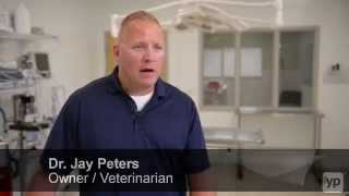 Countryside Veterinary Service