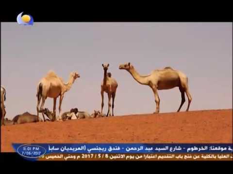 أبوزبد مدينة تعانق التاريخ برنامج قدم خير رمضان 2017