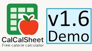 CalCalSheet Demo 1.6