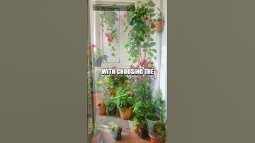 Creating a Sustainable Space with Indoor Plants