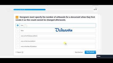 Freelancer Adobe Illustrator level 1 exam