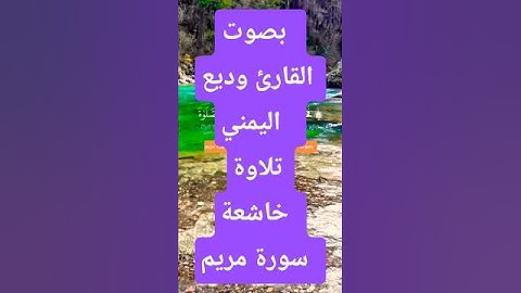 بصوت  القارئ وديع اليمني   تلاوة خاشعة  سورة مريم  #المصحف #اسلاميات  #قران_كريم #لايك #اكسبلور