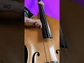 Can A Bass Guitar Sound Like A Double Bass Bass Bassguitar Doublebass Can A Bass Guitar Sound Like A Double Bass Bass Bassguitar Doublebass