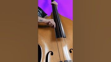Can a bass guitar sound like a double bass? #bass #bassguitar #doublebass