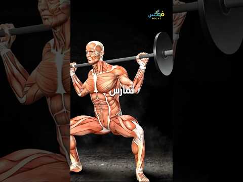 كيف تنمو العضلات معلومات اكسبلور ترند علم عضلات   