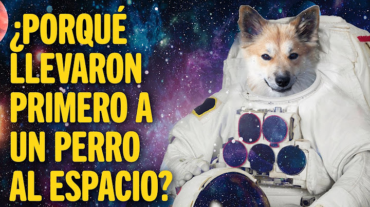¿PORQUÉ LLEVARON PRIMERO A UN PERRO AL ESPACIO? - La Historia de Laika | Mundo Animal